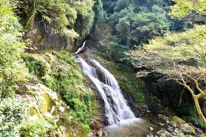 �����̑�